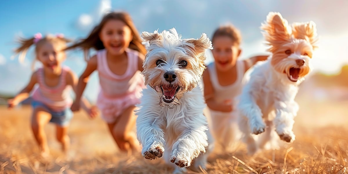 Dogs and children playing