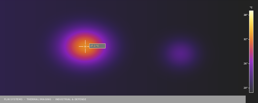 FLIR Systems thermal imaging