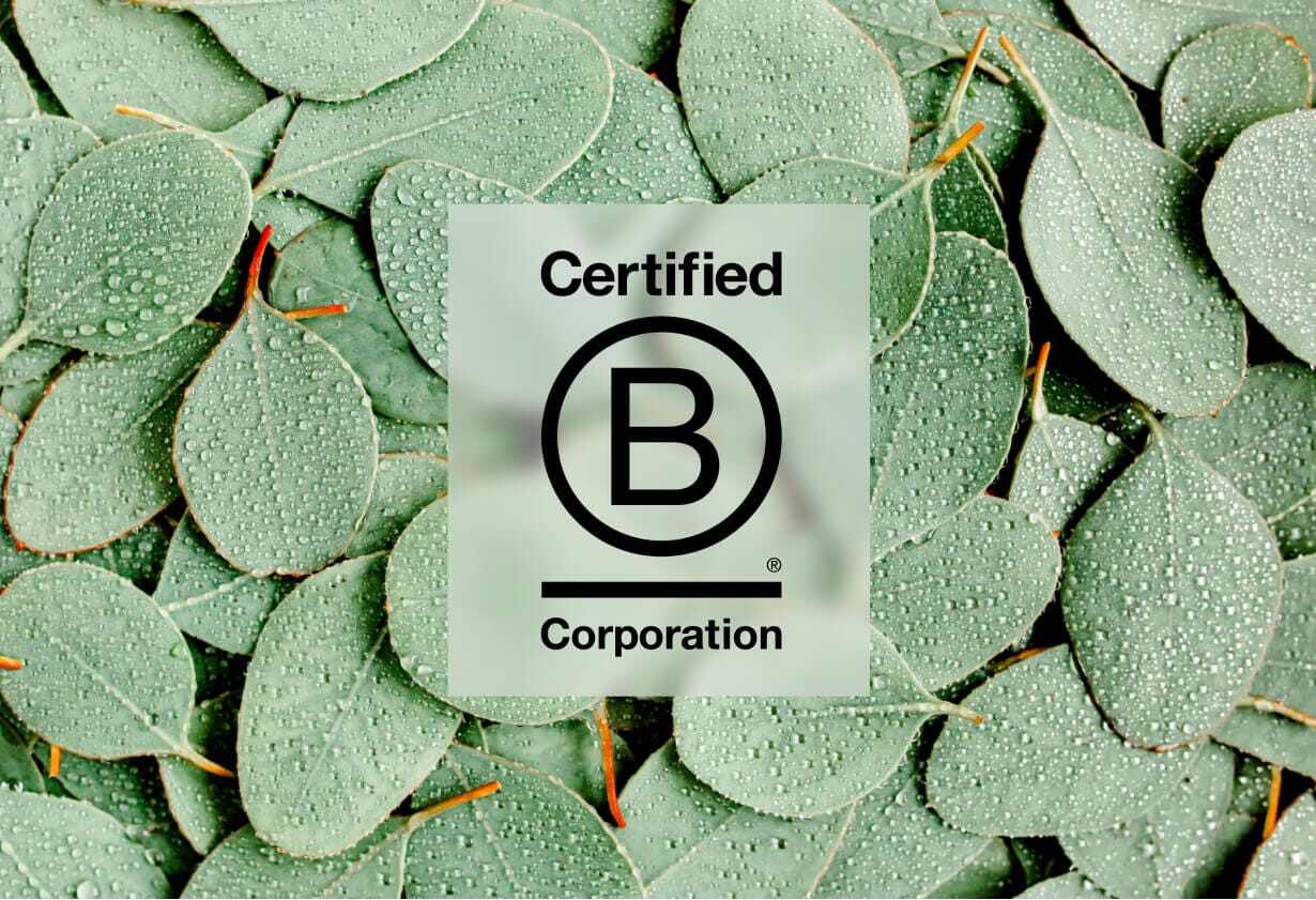 Carnegie B Certified